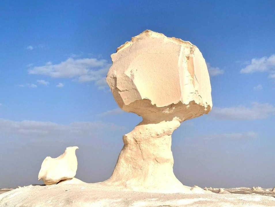 Photo of Others in Marsa Matruh