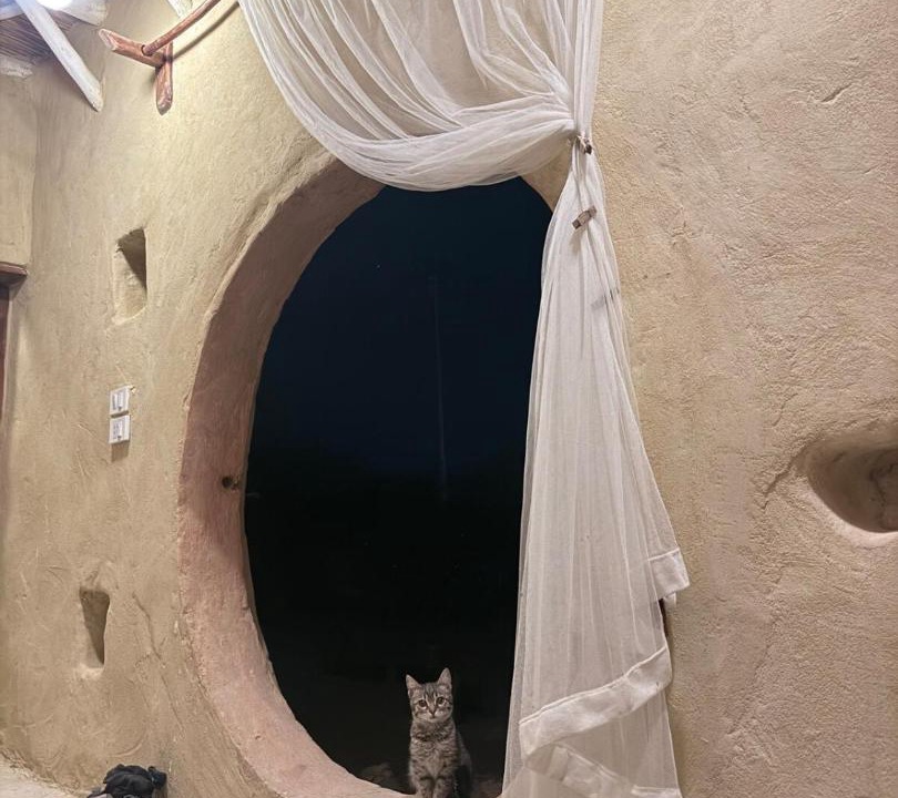 Photo of Others in Siwa
