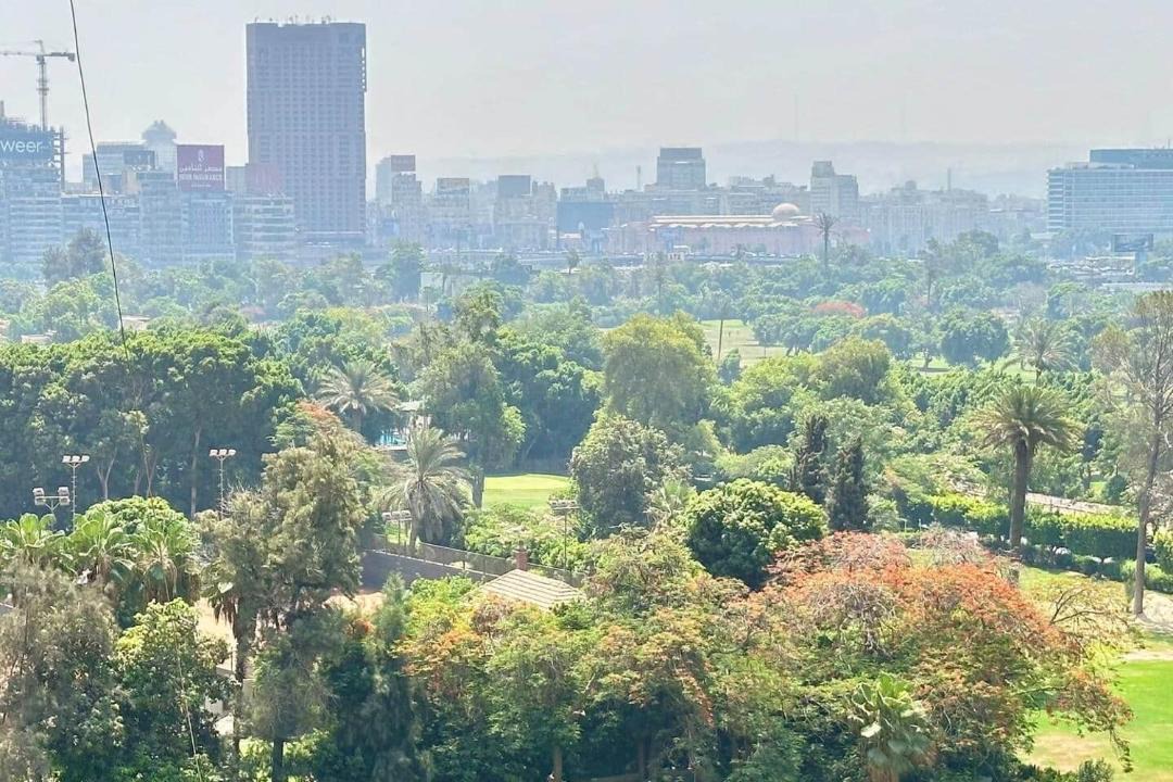 Photo of Others in Gezira