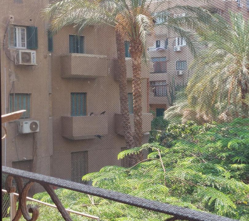 Photo of Others in Maadi