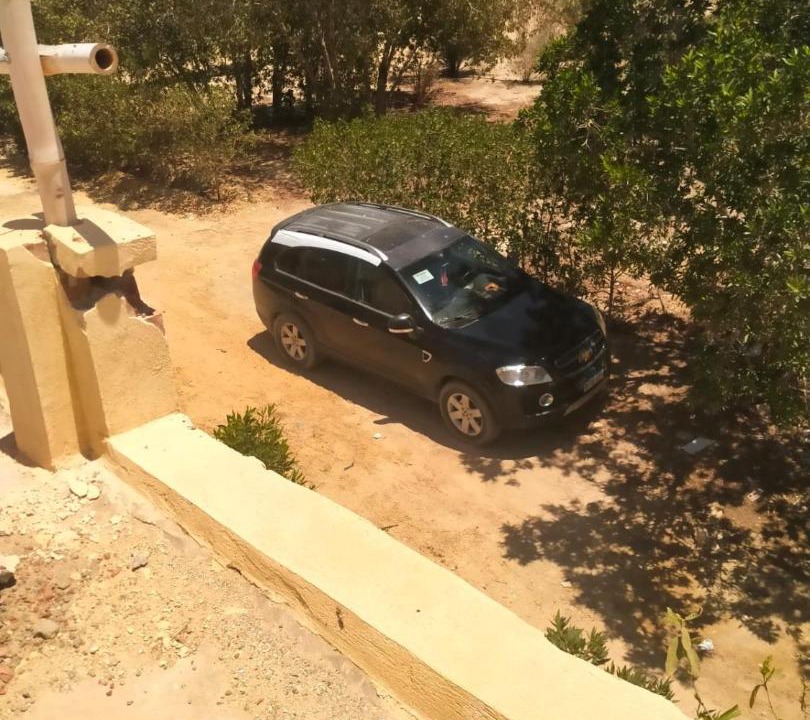 Photo of Others in Al Fayoum
