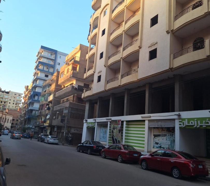 Photo of Others in Shibin al Kawm
