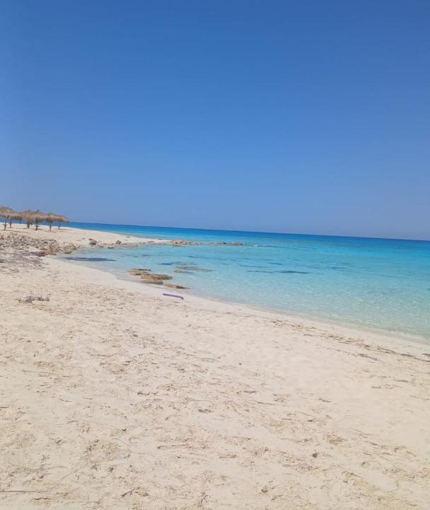 Photo of Others in Borg el Arab