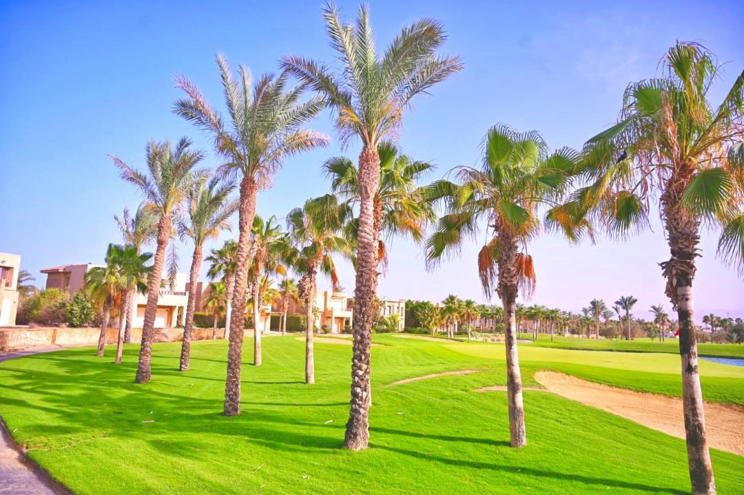 Photo of Others in Ain Sokhna