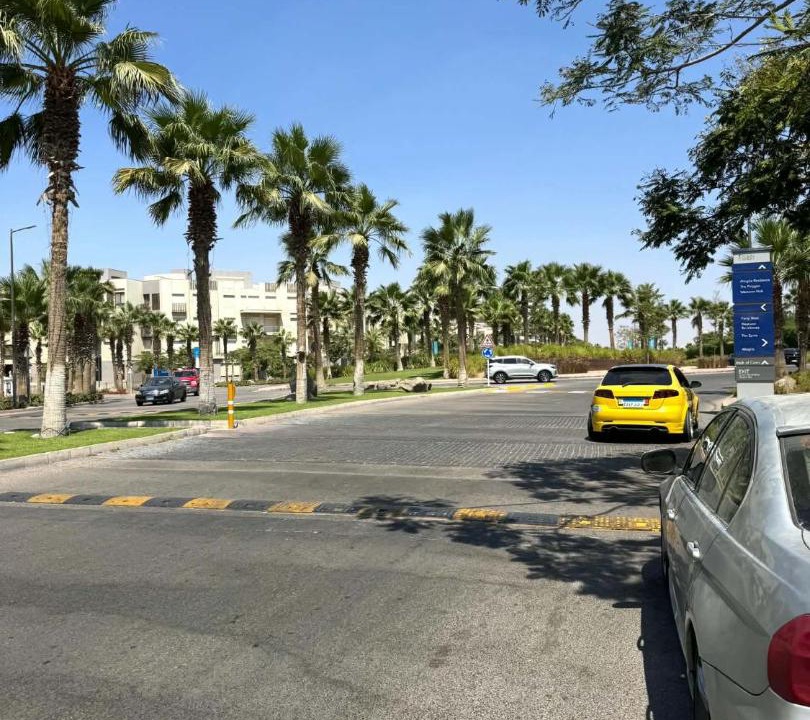 Photo of Others in Sheikh Zayed City