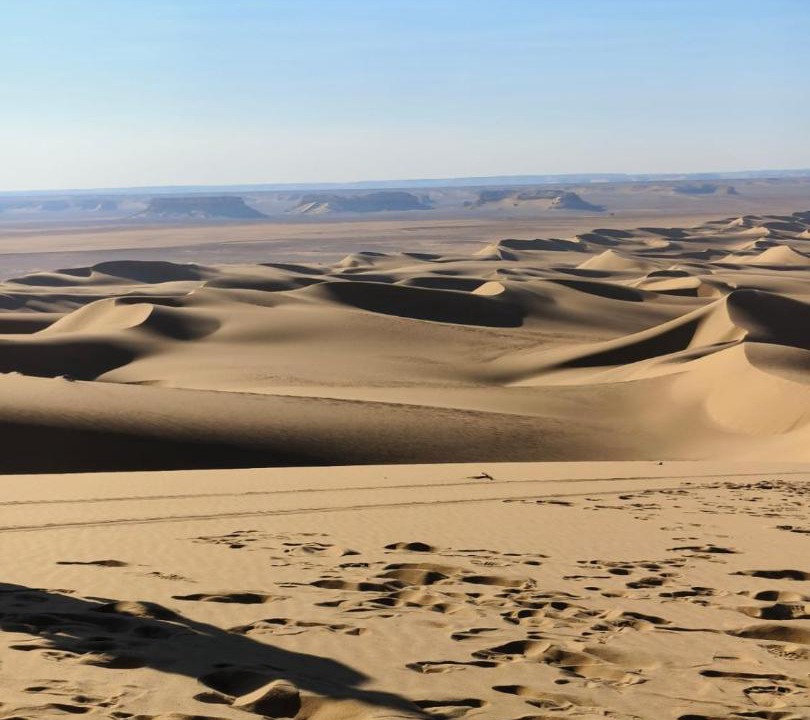 Photo of Others in Al Fayoum