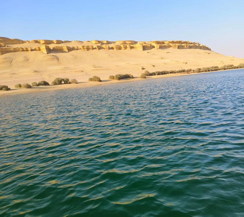 Photo of Others in Al Fayoum