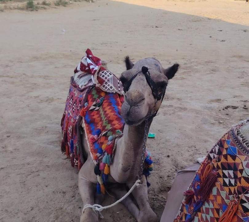 Photo of Others in Al Fayoum