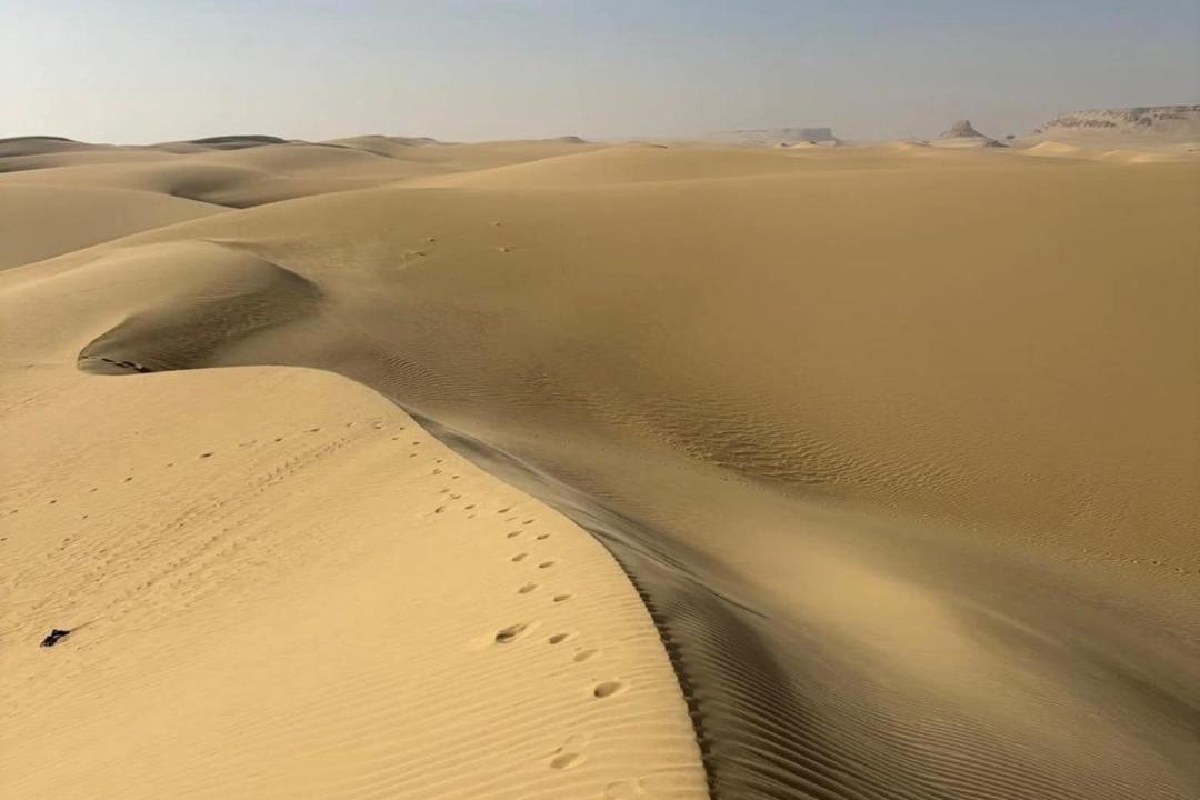 Photo of Others in Al Fayoum