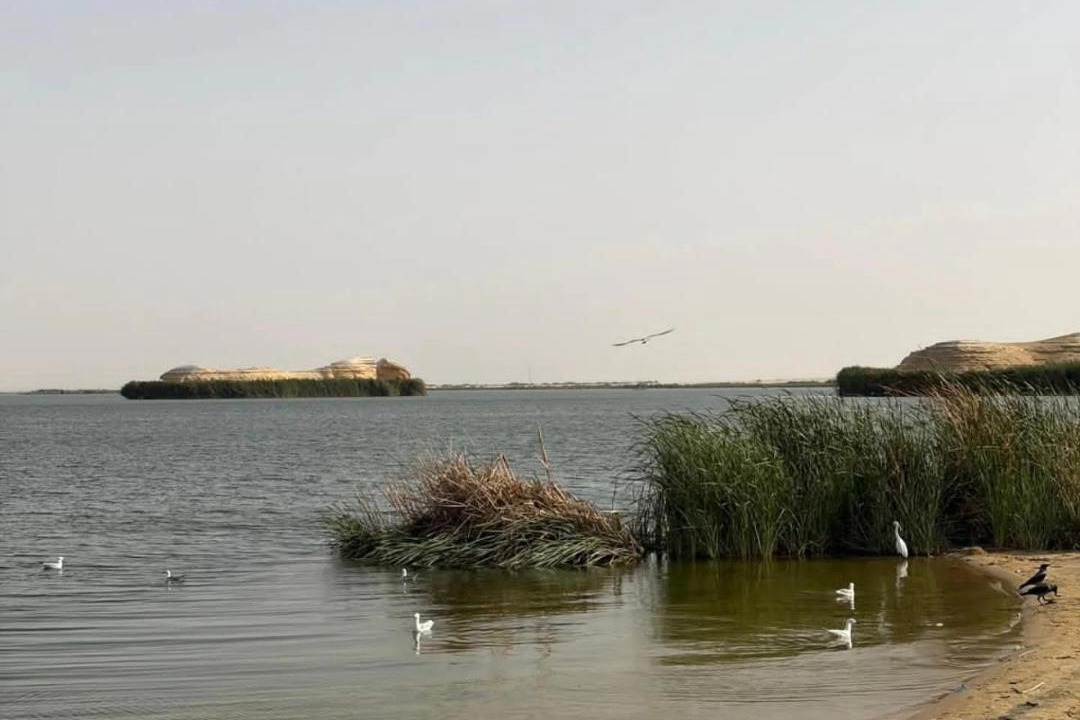 Photo of Others in Al Fayoum