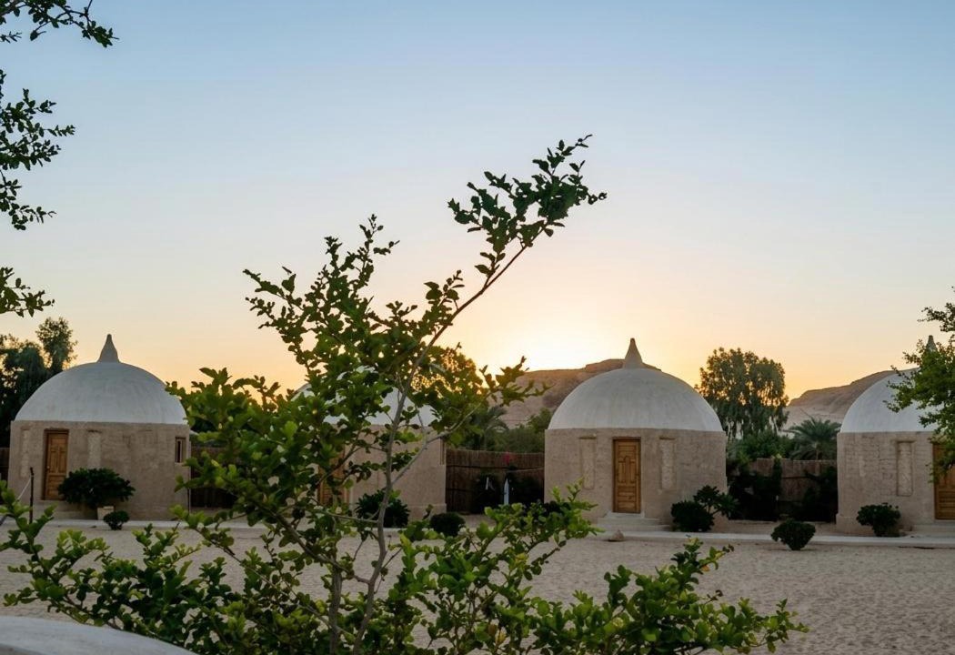 Photo of Others in Siwa