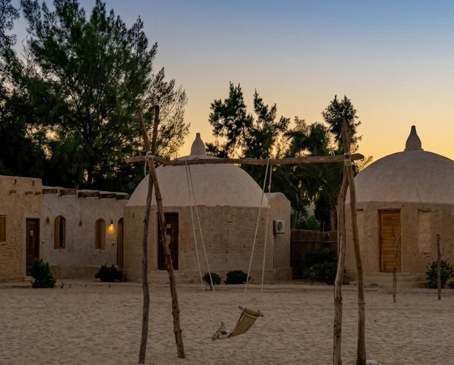 Photo of Others in Siwa