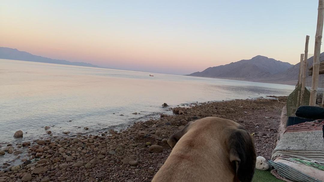 Photo of Others in Nuweiba