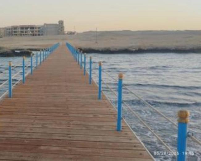 Photo of Others in Red Sea Coast