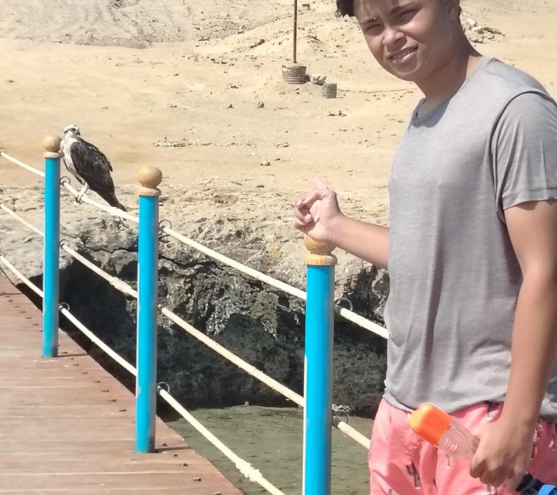 Photo of Others in Red Sea Coast