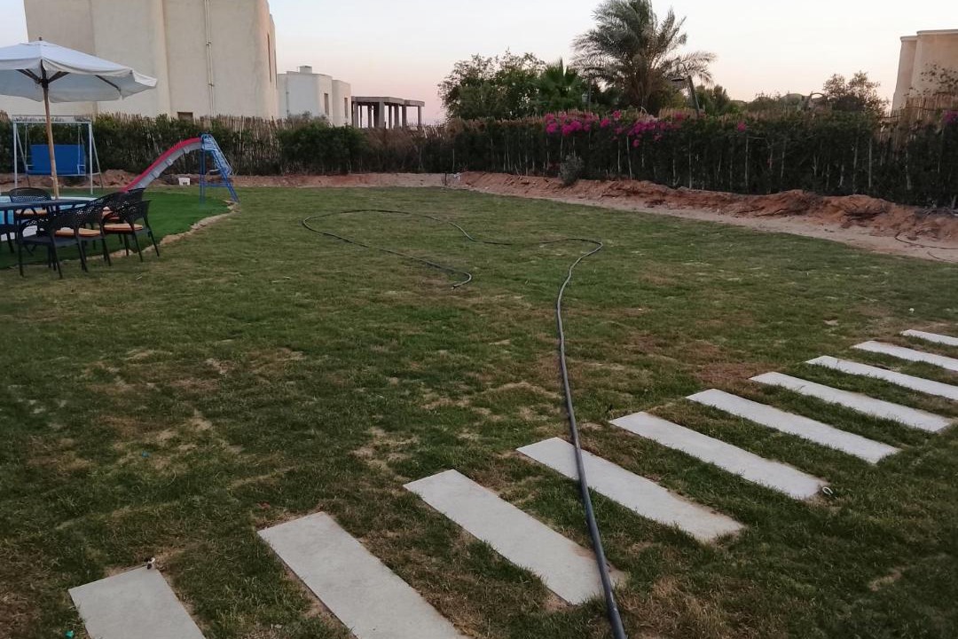 Photo of Others in Wadi El Natrun