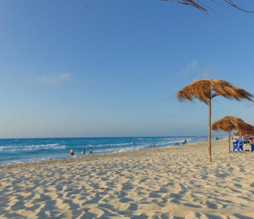 Photo of Others in Borg el Arab