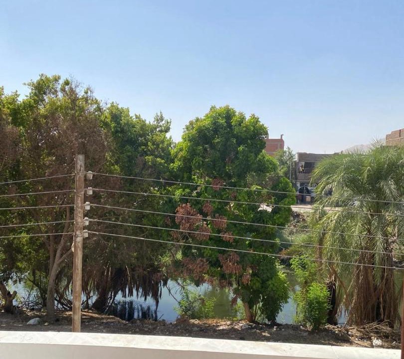 Photo of Others in Luxor
