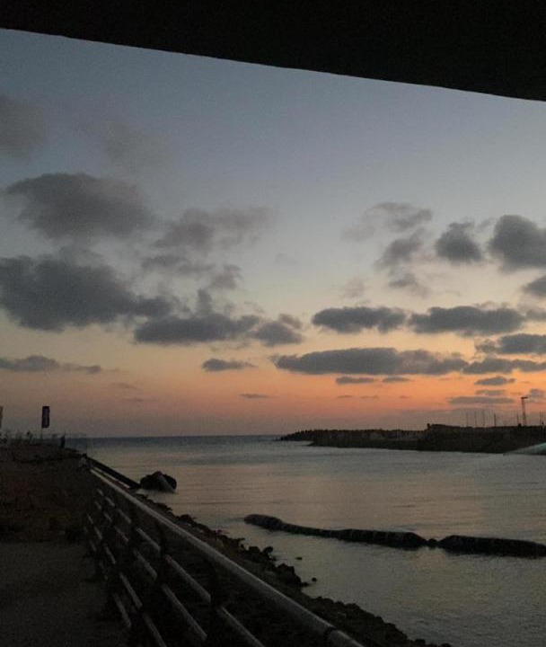 Photo of Others in Marina El Alamein