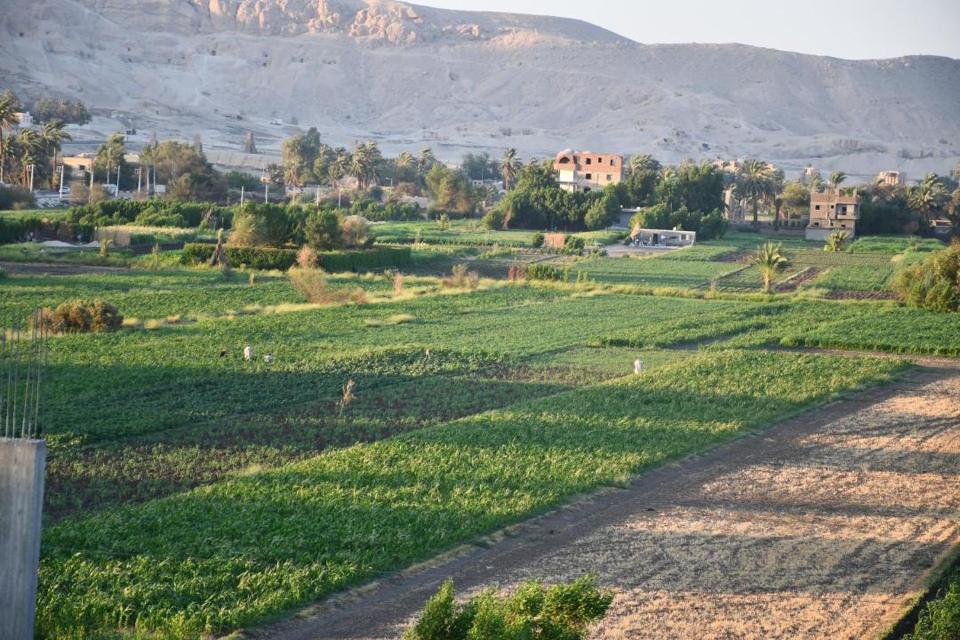 Photo of Others in Luxor