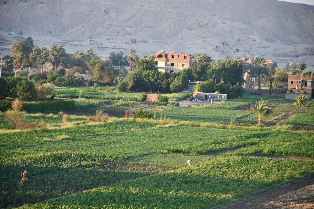 Photo of Others in Luxor
