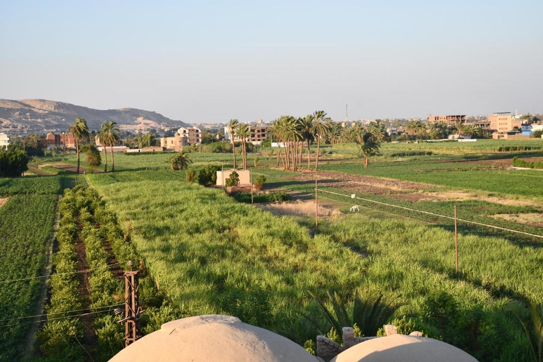 Photo of Others in Luxor