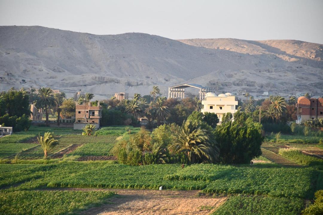 Photo of Others in Luxor