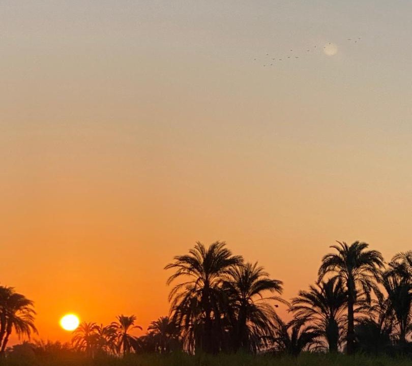 Photo of Others in Luxor