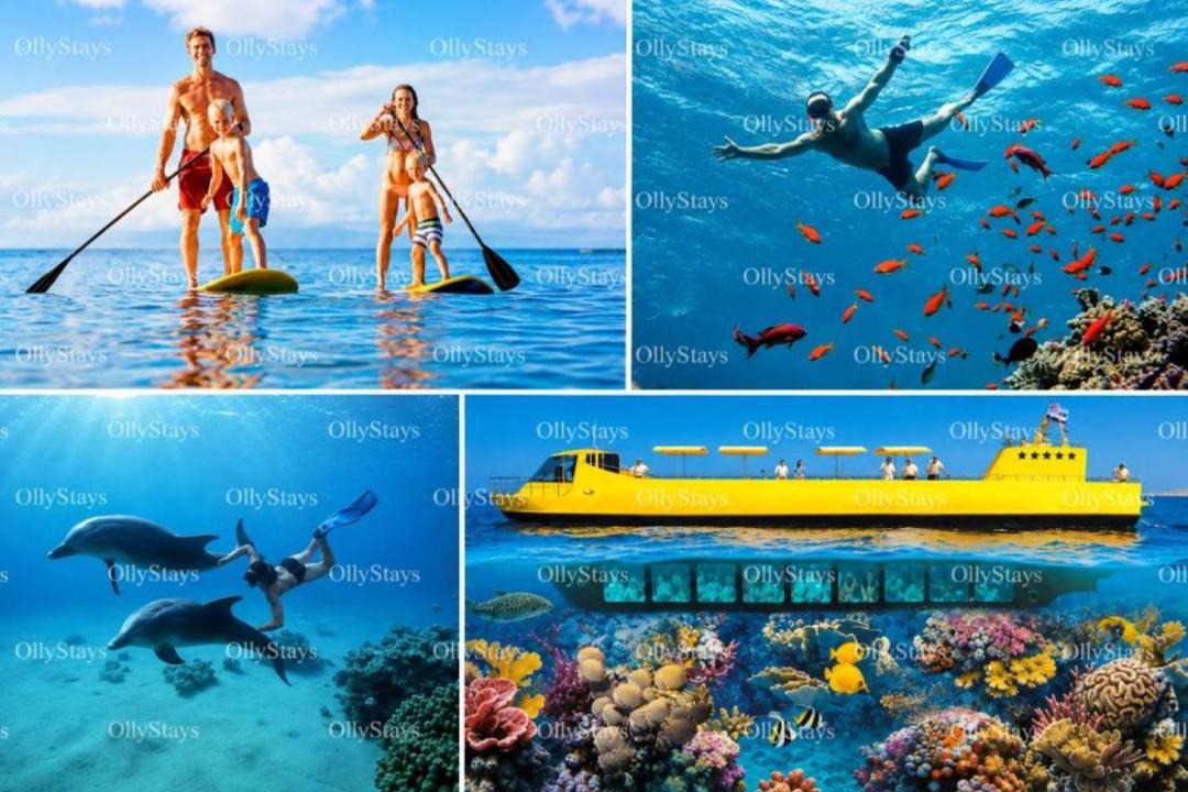 Photo of Others in El Gouna