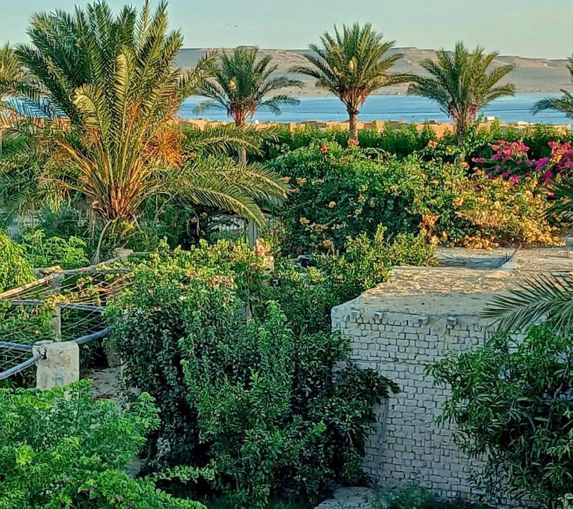 Photo of Patio Balcony in Yusuf as-Sidiq