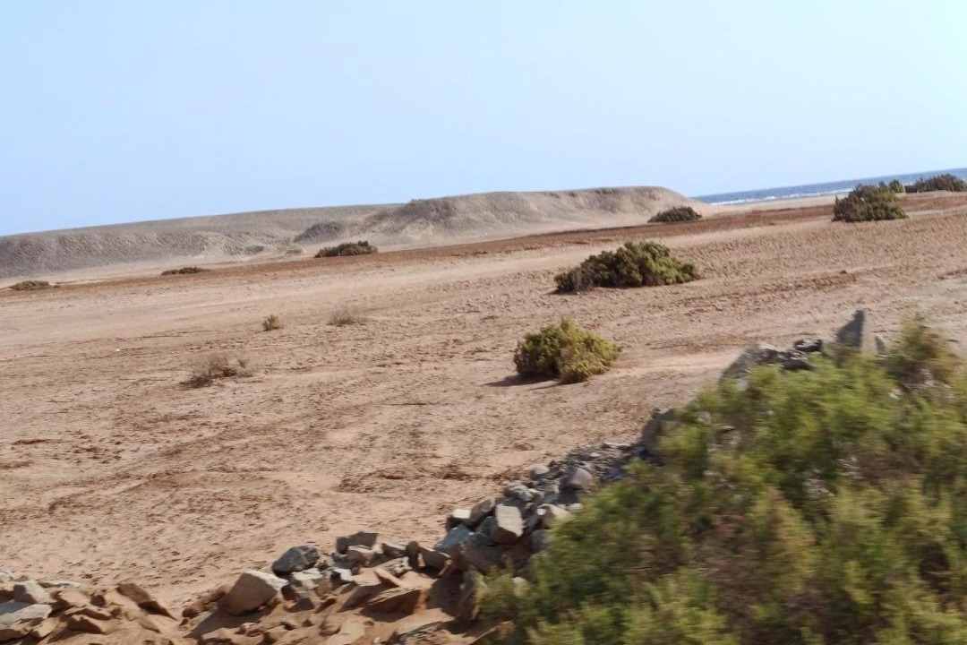 Photo of Others in Marsa Alam