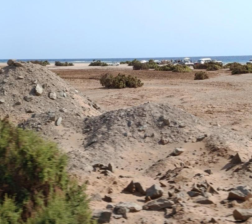 Photo of Others in Marsa Alam