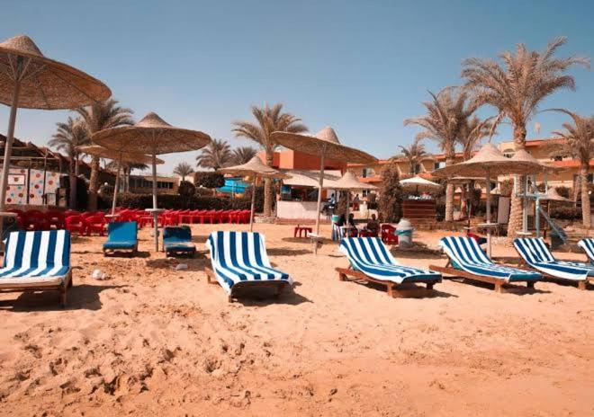 Photo of Others in Al-Hammam