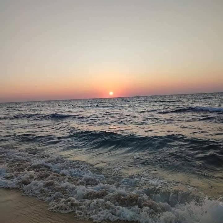 Photo of Others in Borg el Arab