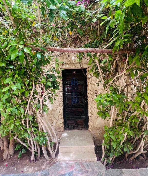 Photo of Others in Tunis Village