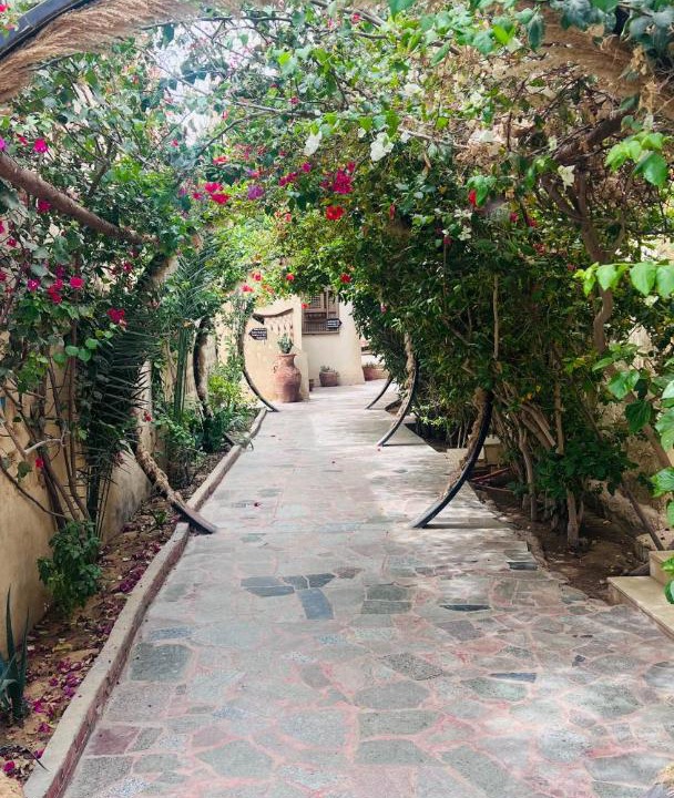 Photo of Others in Tunis Village