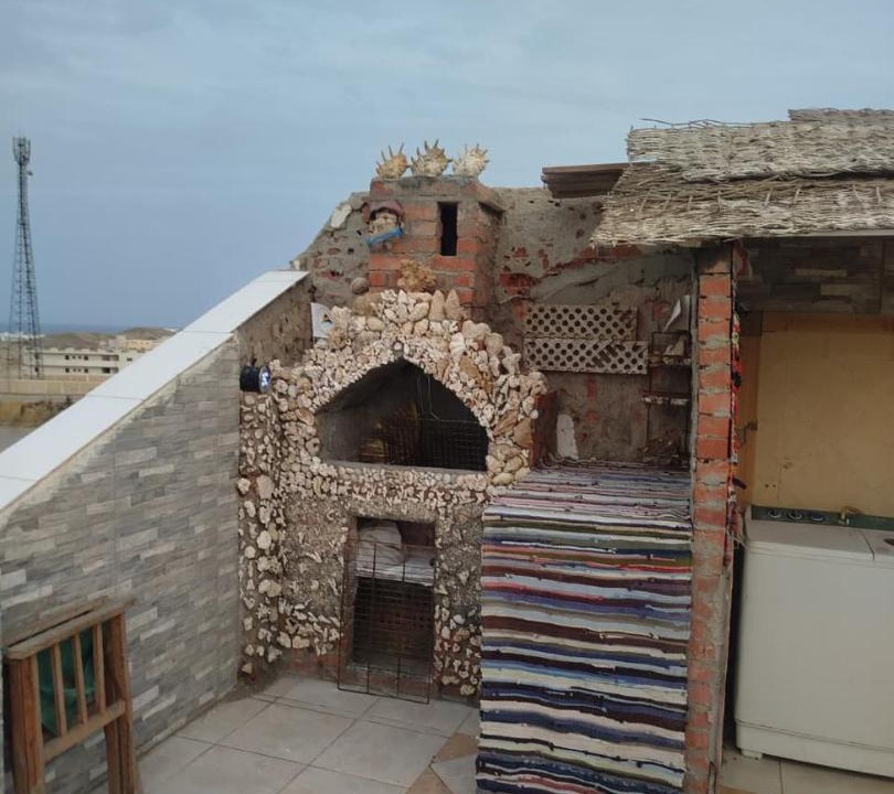 Photo of Others in Marsa Alam