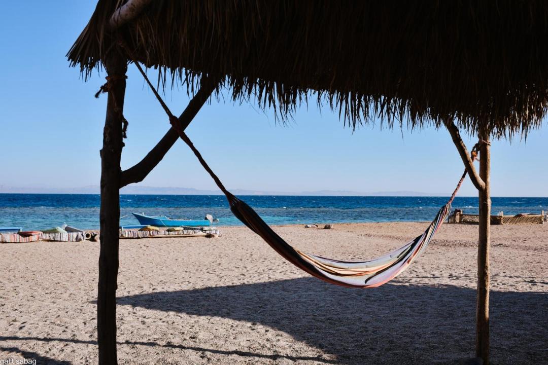 Photo of Others in Dahab