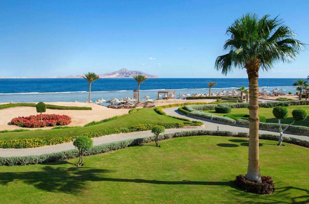Photo of Others in Sharm El Sheikh