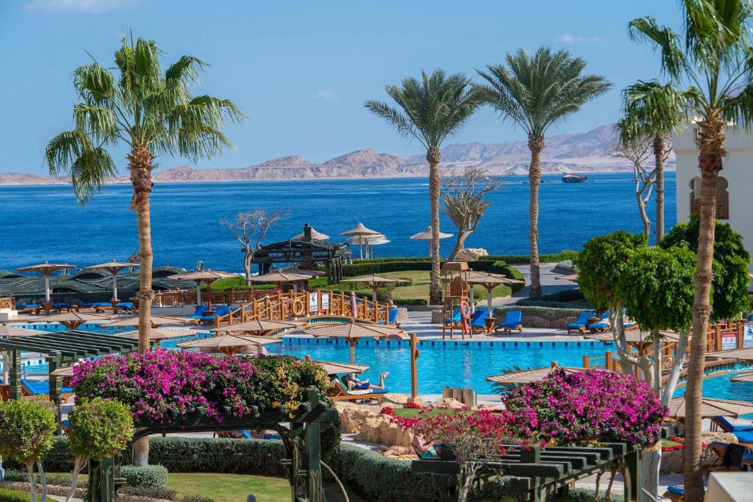 Photo of Others in Sharm El Sheikh