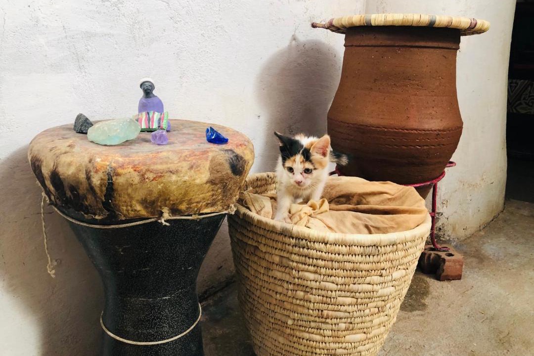 Photo of Others in Al Karnak