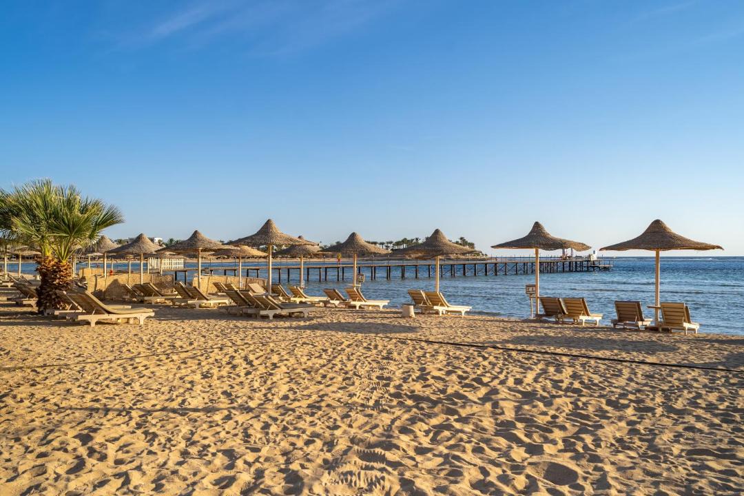 Photo of Others in Marsa Alam
