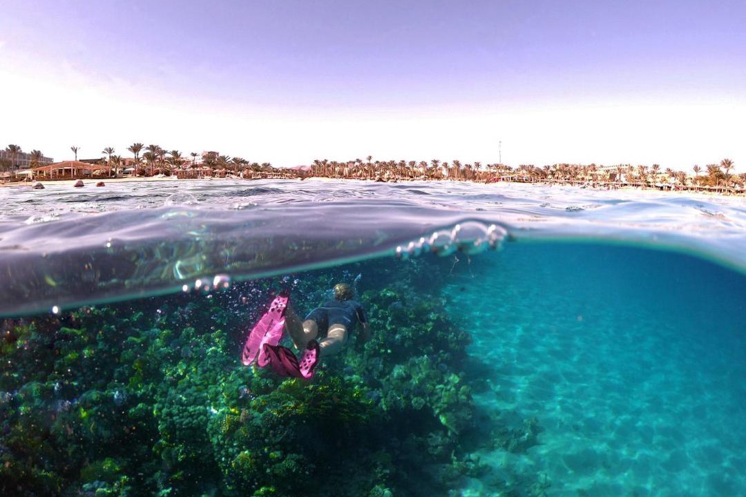 Photo of Others in Marsa Alam
