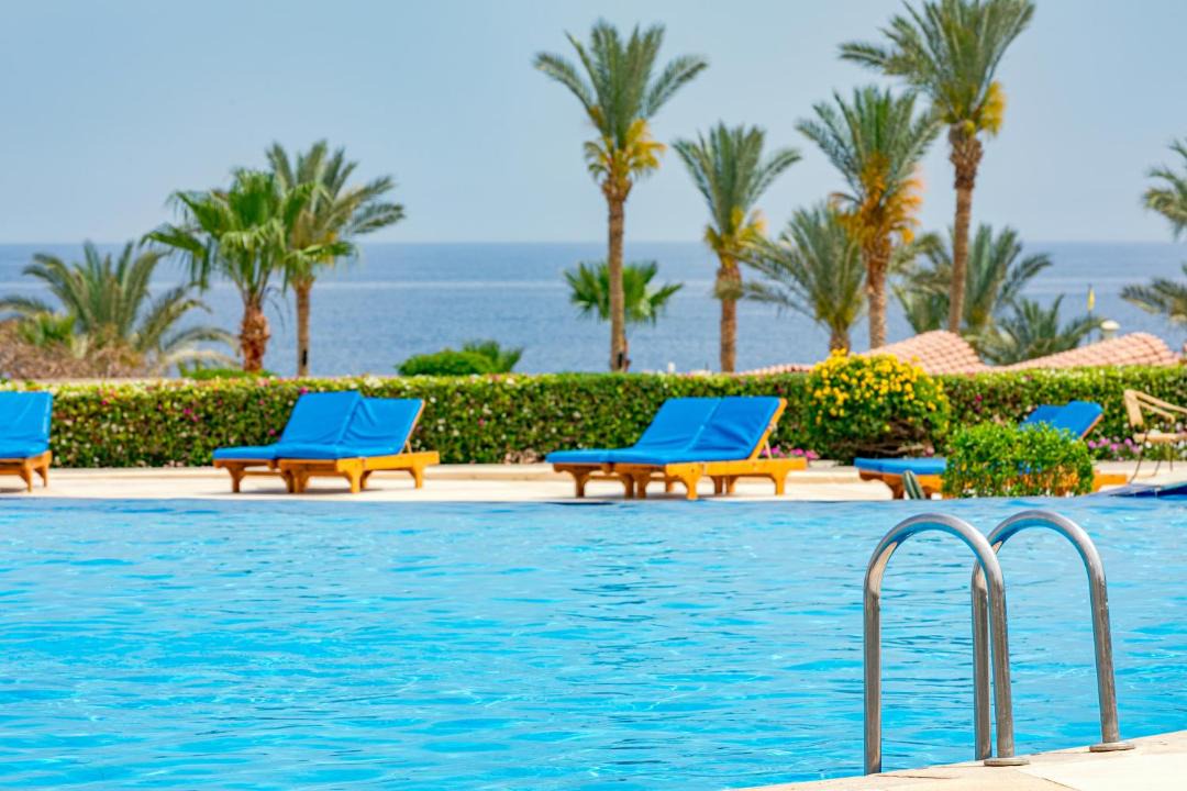 Photo of Others in Marsa Alam