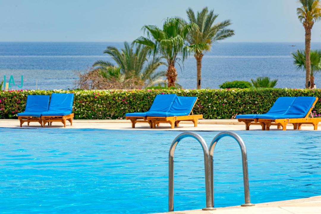 Photo of Others in Marsa Alam
