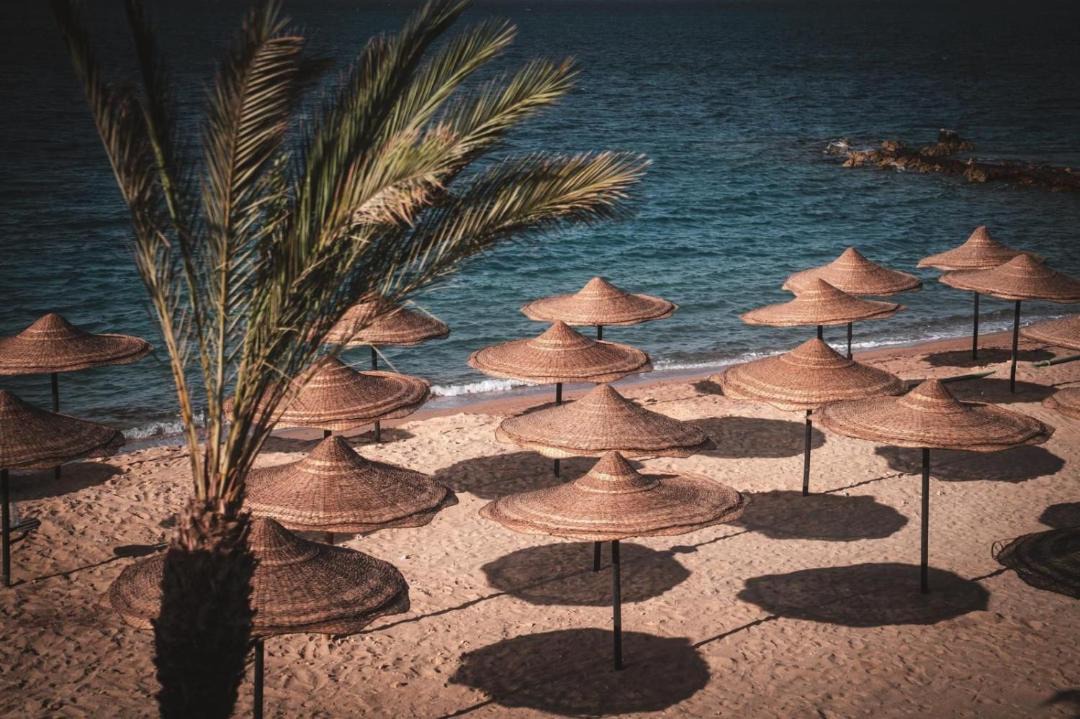 Photo of Others in Corniche Road-Dahar