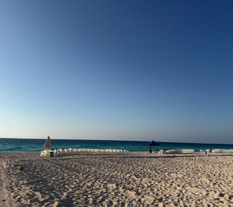 Photo of Others in Borg el Arab