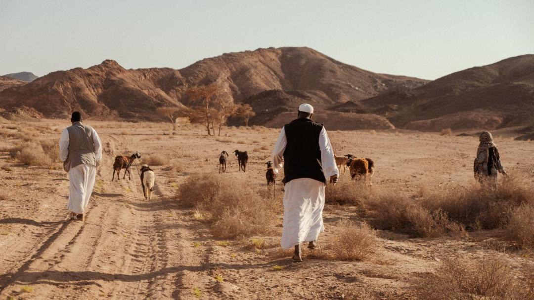 Photo of Others in Marsa Alam
