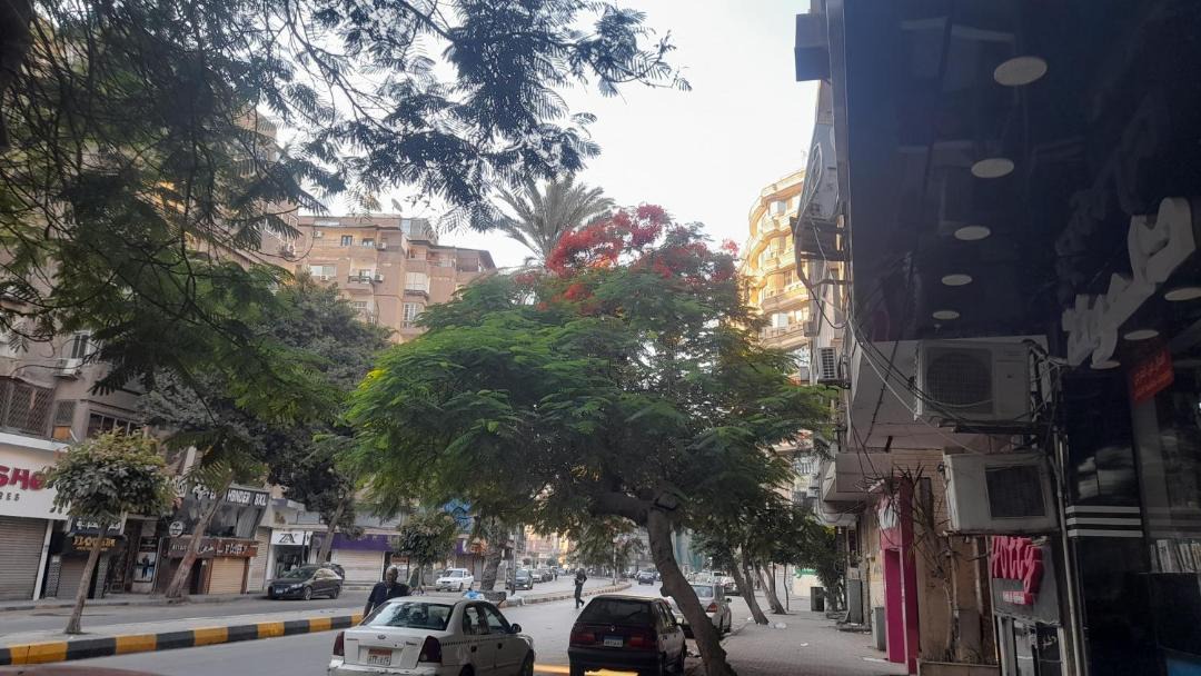 Photo of Others in Agouza