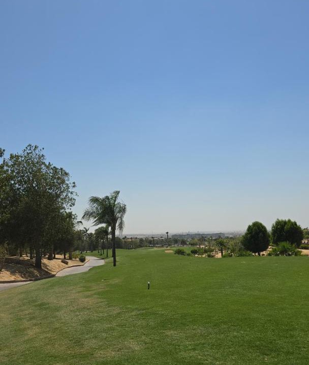 Photo of Others in Al Fayoum
